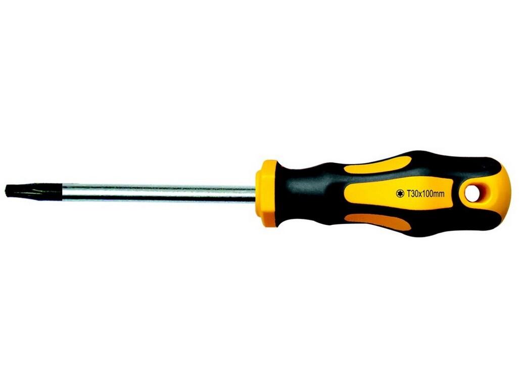 07-213-25 šroubovák TORX TX 25x100mm